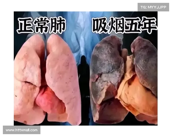 为什么成年人偏爱便宜烟?十年老烟民揭秘吸烟背后的真相 为什么成年人偏爱便宜烟?十年老烟民揭秘吸烟背后的真相
